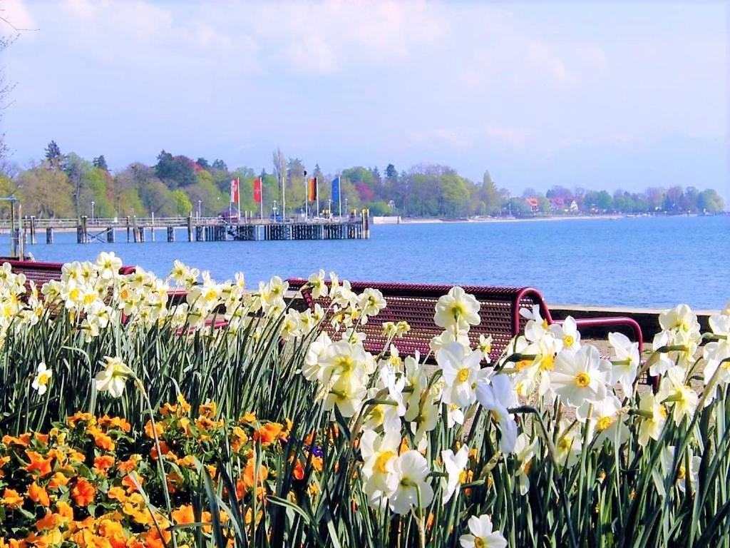 Bodensee Apartment Kressbronn "Seeland" 크레스브론암보덴지 외부 사진